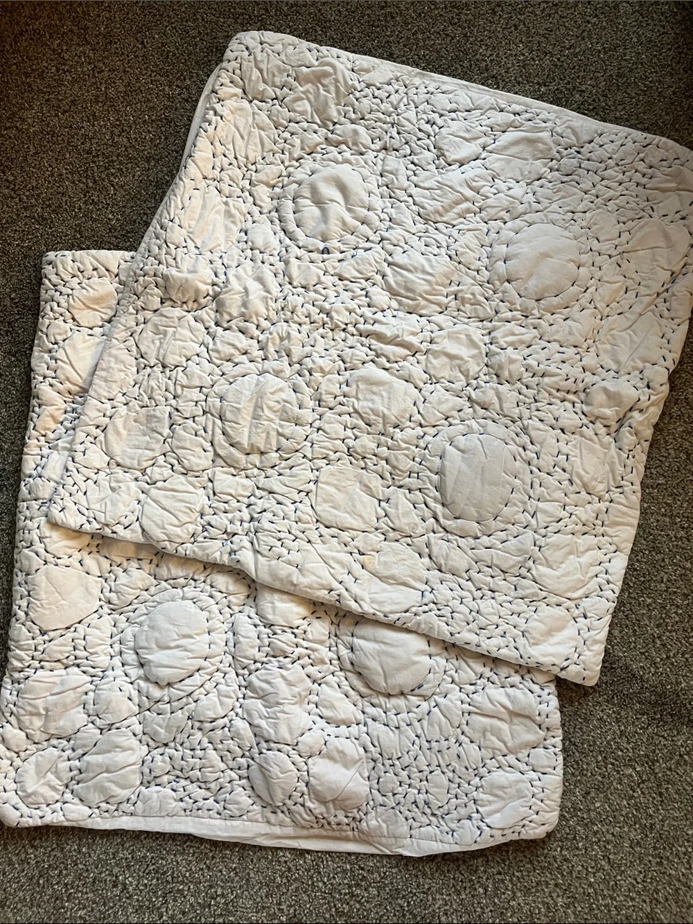 Anthropologie embroidered cotton Euro shams (2)